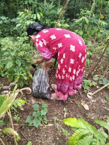 farmers in Indonesia