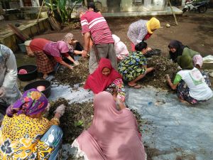 farmers in Indonesia