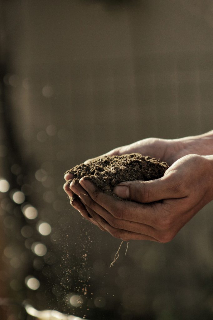 Food Security in a Pandemic - How Business Can Help