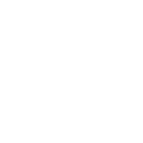 Northeastern University London